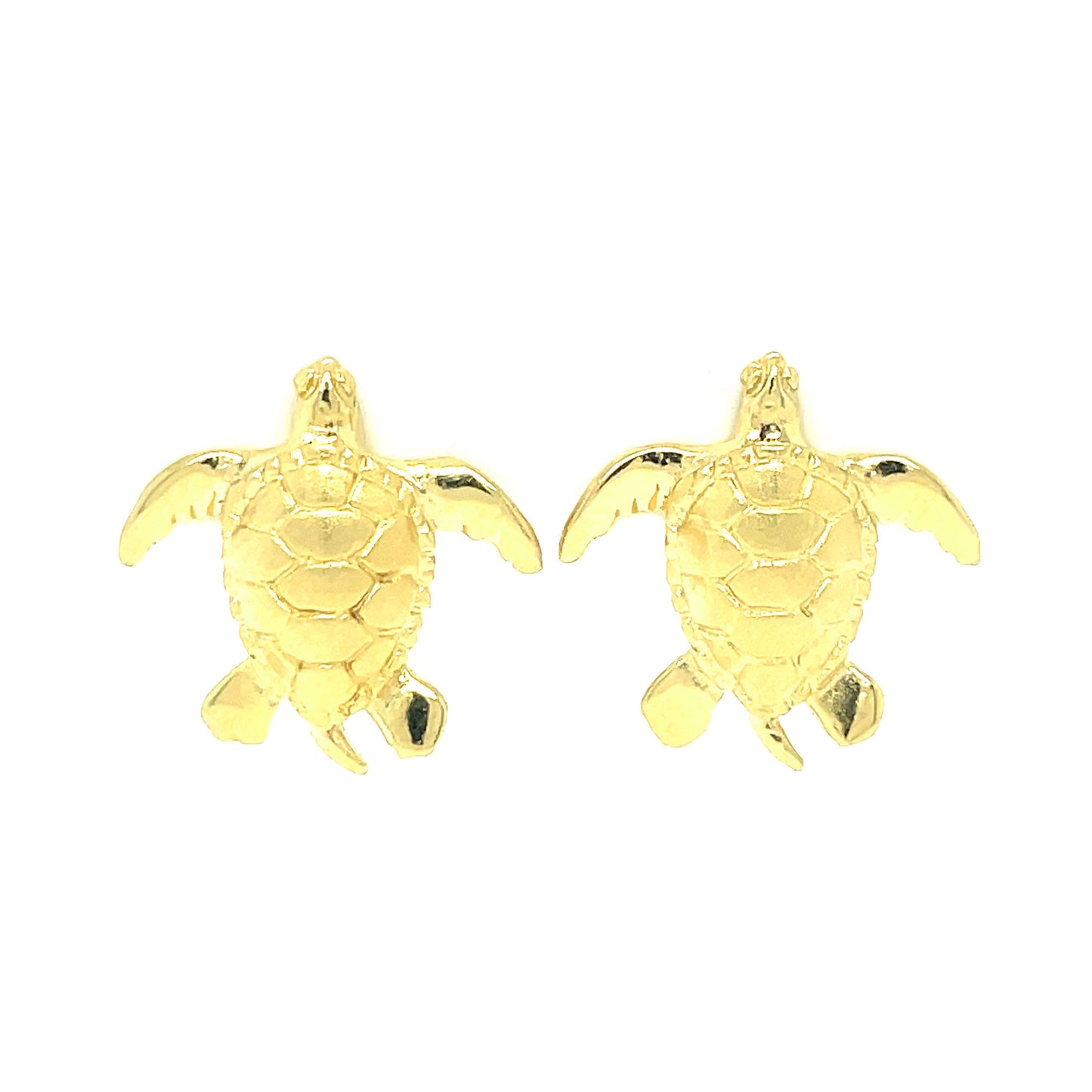 Turtle Squirts